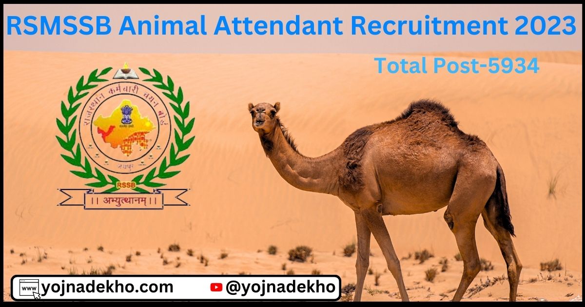 RSMSSB Animal Attendant Recruitment 2023