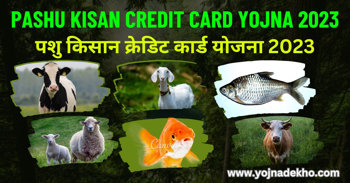 Pashu Kisan Credit Card Yojna 2023