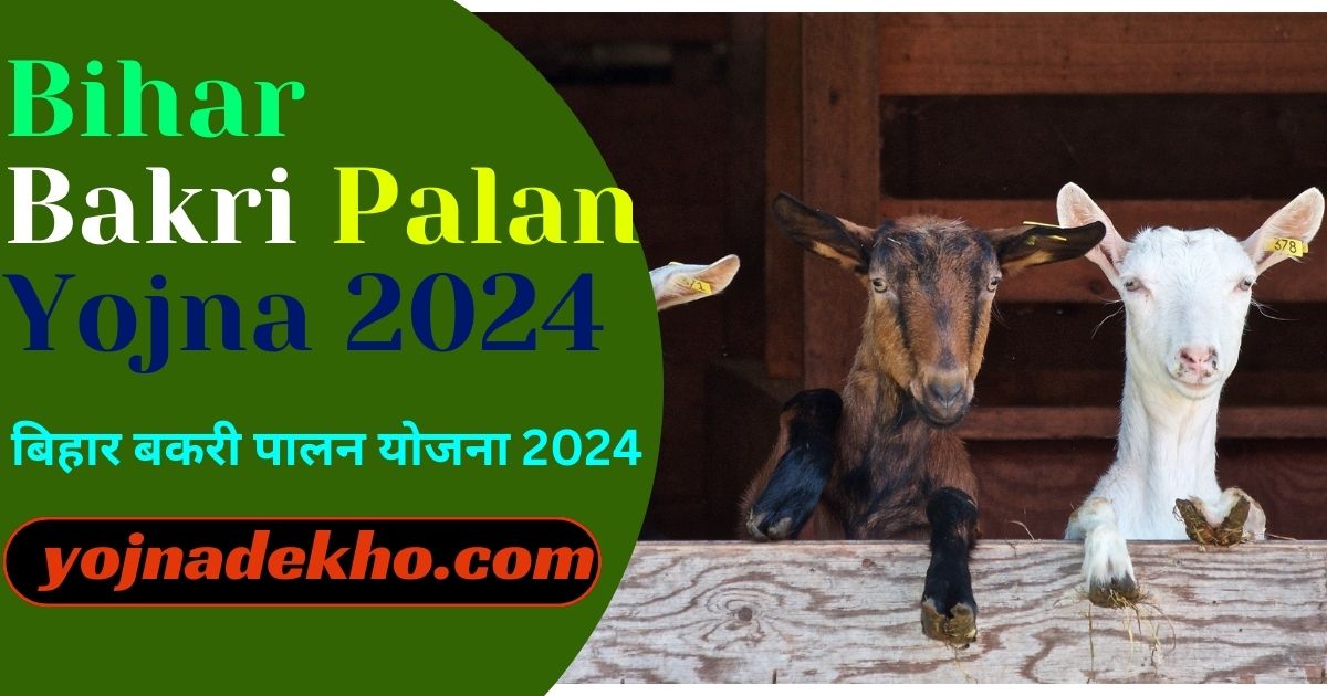 Bihar Bakri Palan Yojna 2024