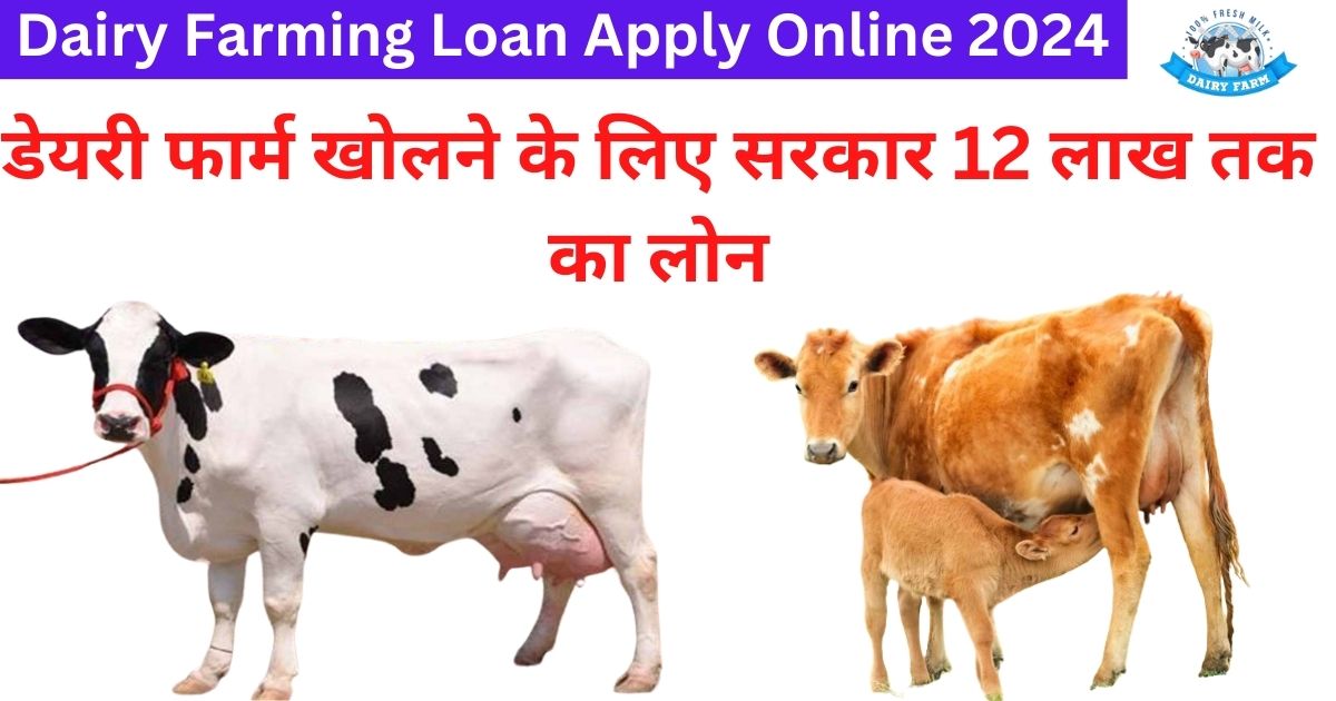 Dairy Farming Loan Apply Online 2024