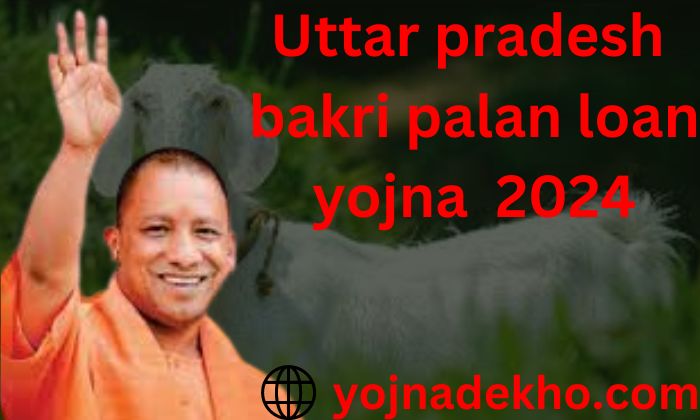 Uttar Pradesh Bakri Palan Loan Yojna 2024