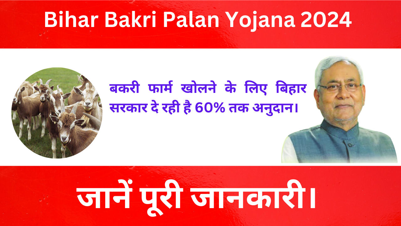 Bihar Bakri Palan Yojana 2024